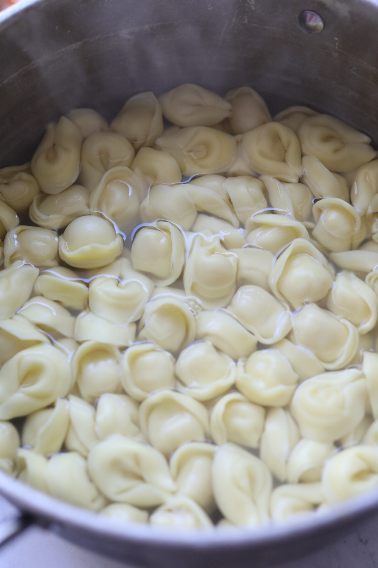 Salmon and pasta recipes cooked tortellini in a pot
