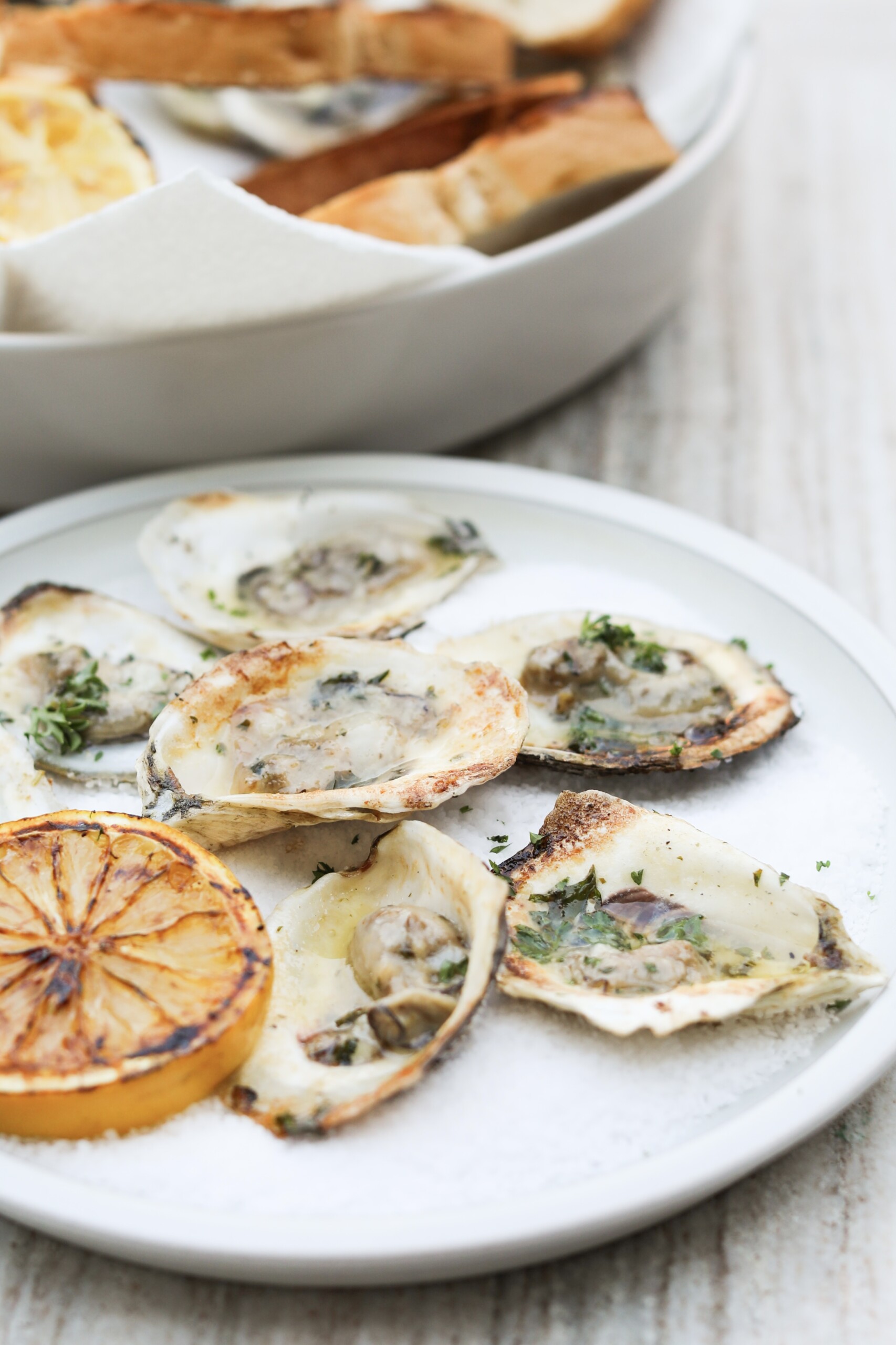 grilled oysters plated char grilled oysters