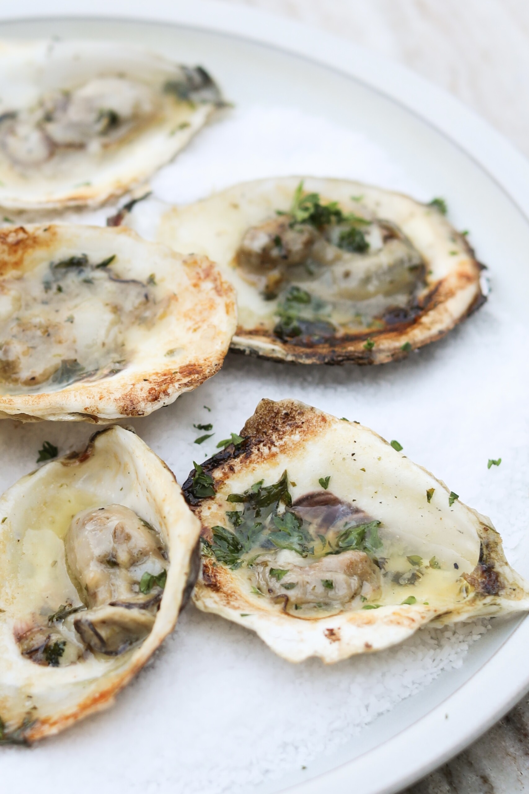 Char grilled oysters close up view of chargrilled oysters