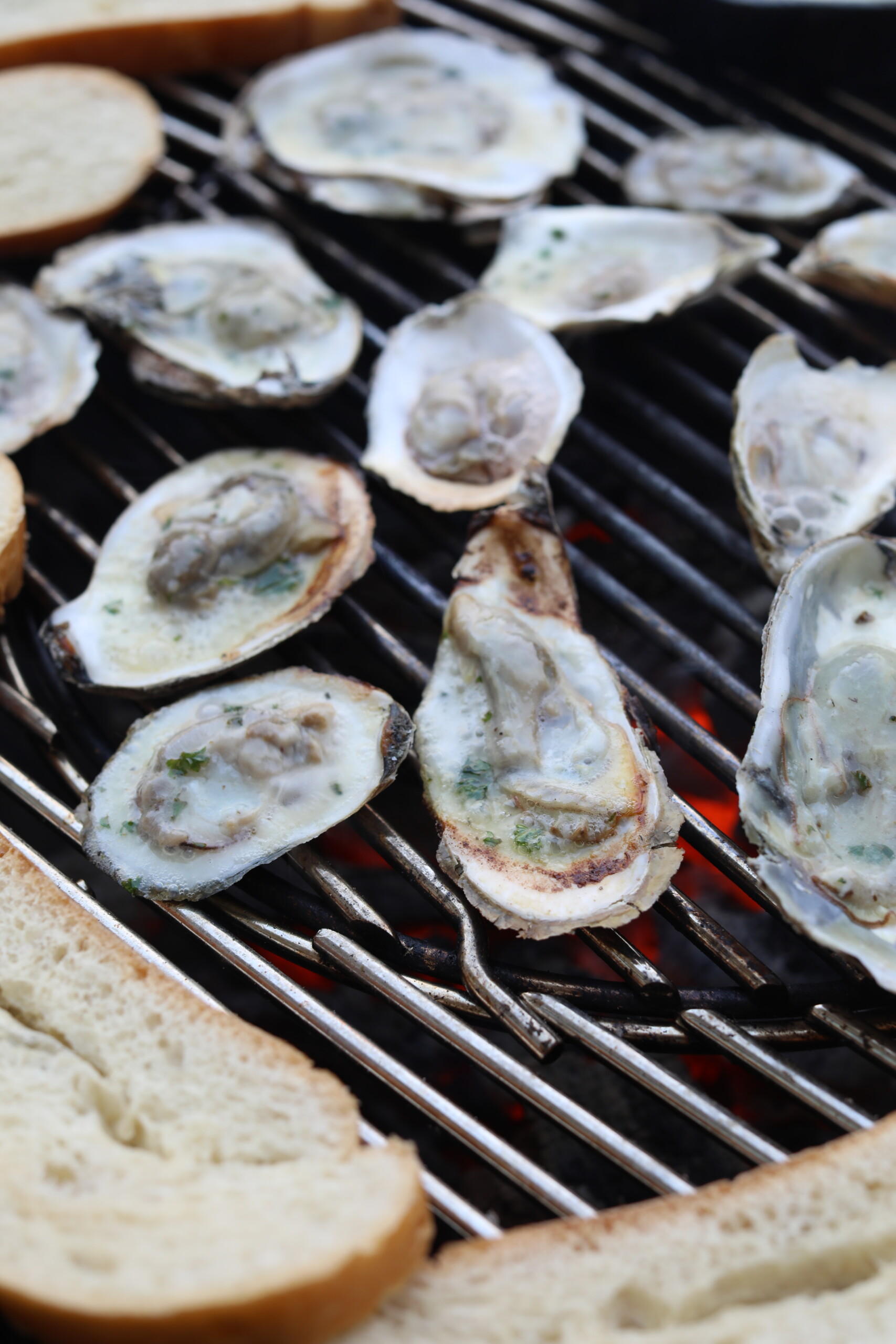 grilled oysters on grates