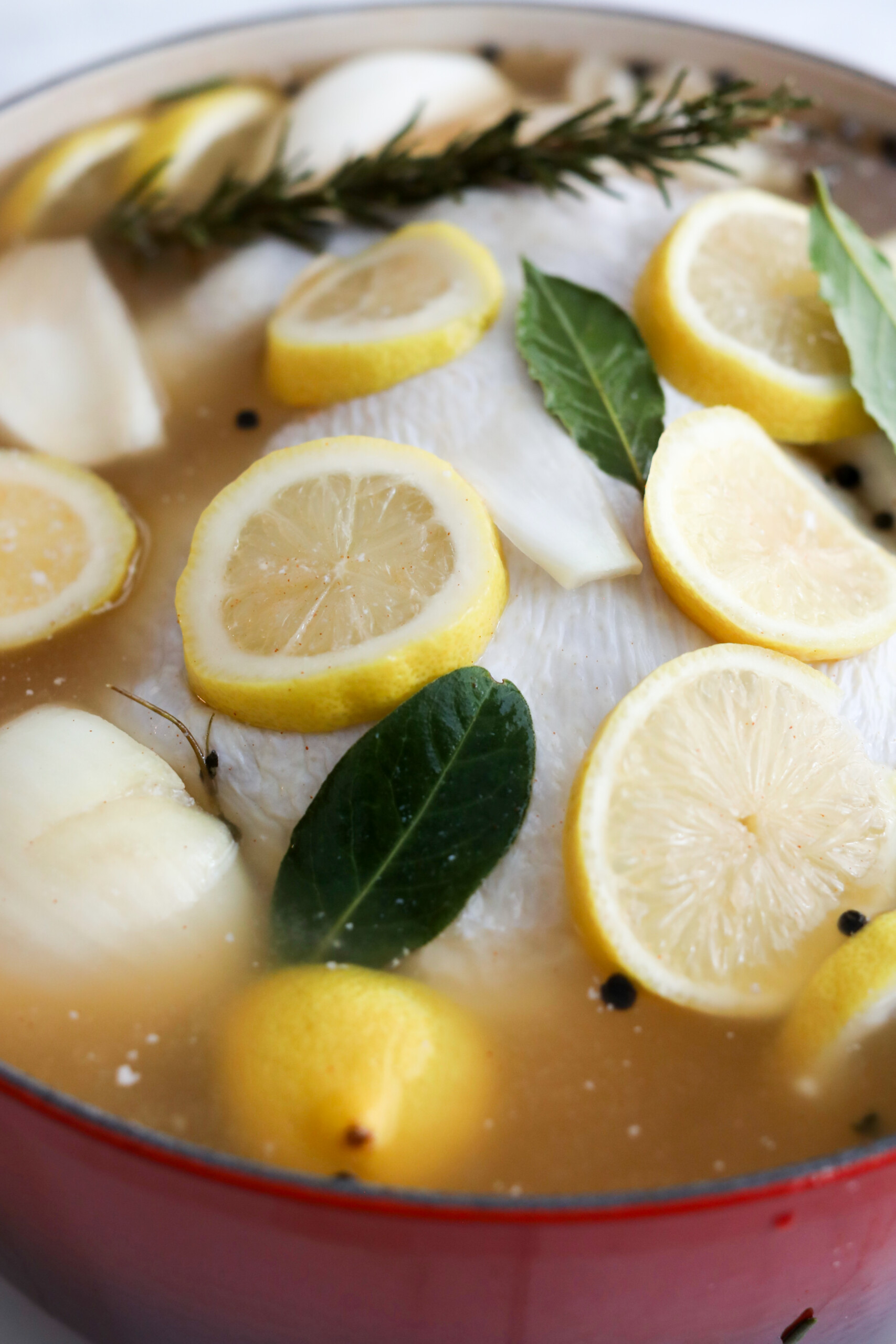 chicken brine recipe A whole chicken submerged in brine with lemon slices, bay leaves, onion, and herbs in a red pot.