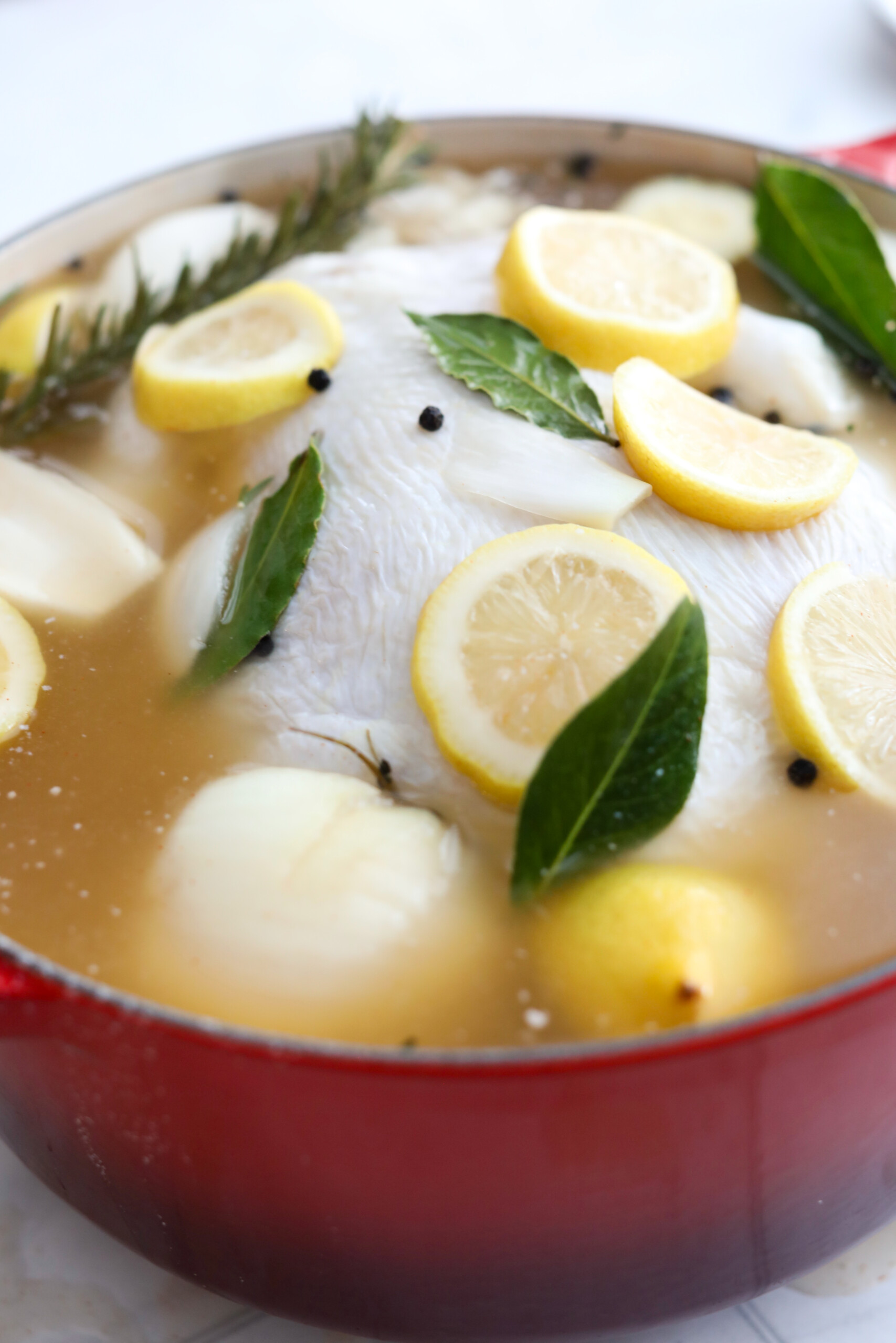 chicken brine A red pot filled with chicken brine, lemons, bay leaves, garlic, and herbs steeping together.