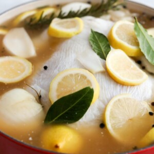 A whole chicken submerged in brine with lemon slices, bay leaves, onion, and herbs in a pot.